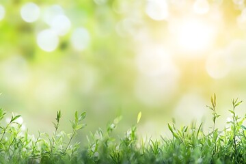 Fototapeta premium A blurred background of a sunlit green meadow, creating a dreamy effect.