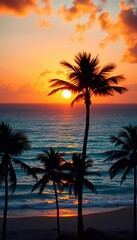 Sunset over turquoise ocean, palm trees silhouette, maldives, shore, bright