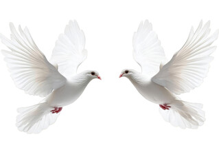 Obraz premium Isolated Photo of Two White Doves in Flight with Spread Wings against Transparent Background