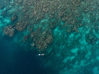 Freediver on the coral reef from a drone perspective