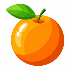 orange fruit vector illustration