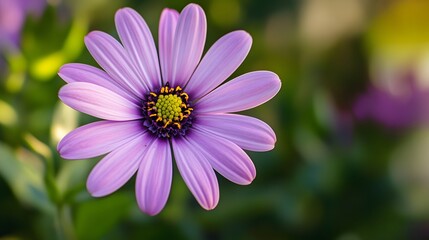 Delicate purple flower blooms in a vibrant garden, showcasing the beauty of nature&rsquo;s artistry during a sunny afternoon