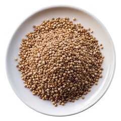 A Heap of Roasted Quinoa Seeds on a White Plate Overhead Shot