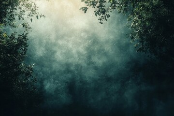 Obraz premium Misty forest with tall trees and mysterious light shining through fog