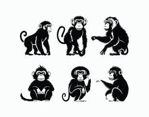 Fototapeta premium Baboon Collection Vector Template Illustration