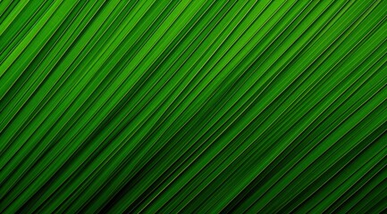 Fototapeta premium Palm leaves background close-up. Diagonal green lines. Use for posters, wallpapers, presentations