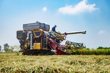 Fototapeta premium Harvesting action on modern combine harvester in rural field agricultural environment dynamic viewpoint