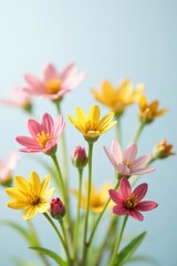 Naklejka premium Macro shot of tiny small flowers on white background, colorful flowers, blossom, flower details