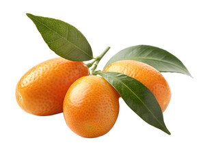 A close up view of kumquats still life with green leaves isolated against a plain backdrop image shot transparent background