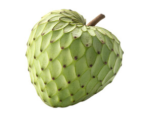 Close up of a cherimoya fruit revealing its textured skin and stem against a plain backdrop image transparent background