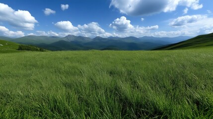 Fototapeta premium Lush mountain meadow under a vibrant sky (1)