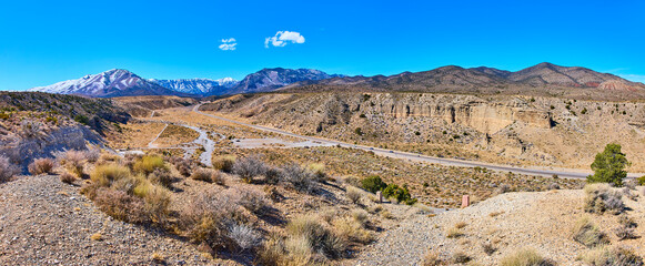 Desert Road and Snow-Capped Mountains Panoramic View