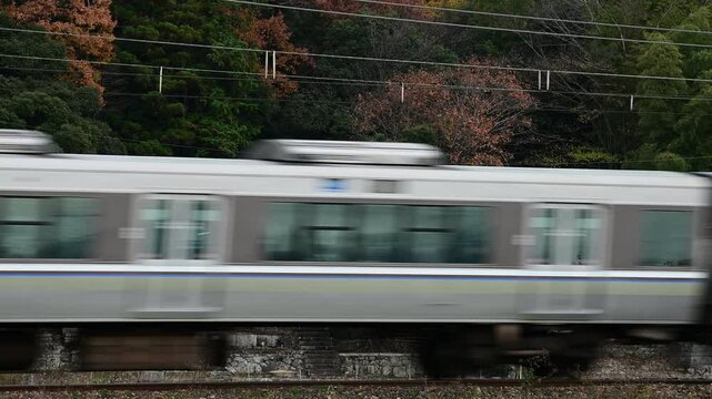 秋の近江路を走る223系新快速 （東海道本線 安土 - 能登川, 2024年12月）