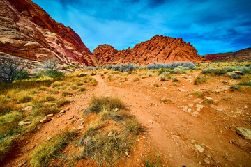 Red Rock Canyon Desert Pathway with Majestic Red Formations Eye-Level View