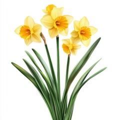 Bright yellow daffodils and lilies a spring equinox celebration in nature