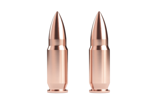 Two bullet points are shown on a white background, isolated