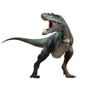 Fototapeta tyrannosaurus rex dinosaur