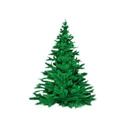 tree isolated on white background