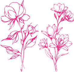 Colorful Rose hibiscus lily best flower design art eps