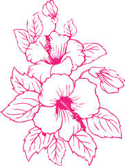 Colorful  Rose hibiscus lily best flower design art eps illustrations