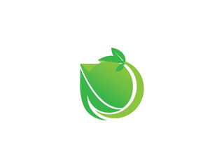 LEAF Logo design Vector Art, Icons, and Graphics	