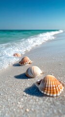 Seashells line the shore as gentle waves lap against the sandy beach under a clear sky