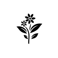 Monochrome Floral Silhouette: Elegant Botanical Design