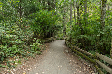 hiking trail in idyllic forest looking at mountain in summer at Thetis Lake Regional Park British Columbia Canada