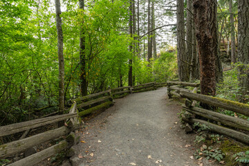 hiking trail in idyllic forest looking at mountain in summer at Thetis Lake Regional Park British Columbia Canada