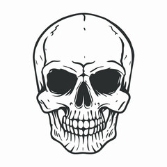 Obraz premium human skull vector illustration