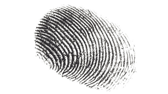 Fingerprint on white background with unique black imprint for identification and security