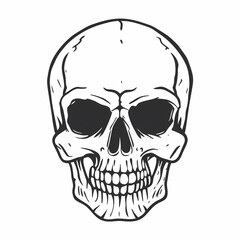 Fototapeta premium human skull vector illustration