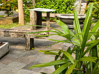 Beautiful garden with wooden park benches, a green open space in the centre of the city.