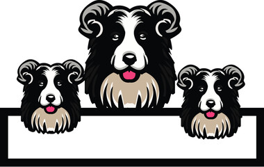 three dogs are playing on white background.