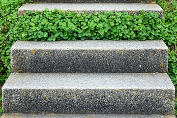 Concrete steps lead upwards with vibrant green plants in between
