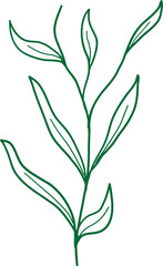 Stylized Leaf Vector Element