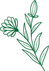 Stylized Leaf Vector Element