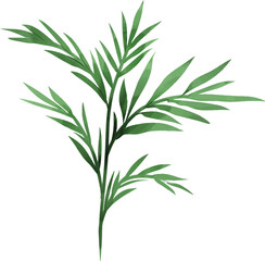 Obraz premium Stylized Leaf or Botany Vector Element 