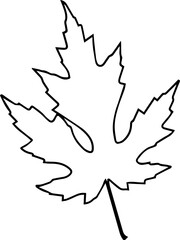 Stylized Leaf or Botany Vector Element 