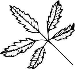 Stylized Leaf Vector Element