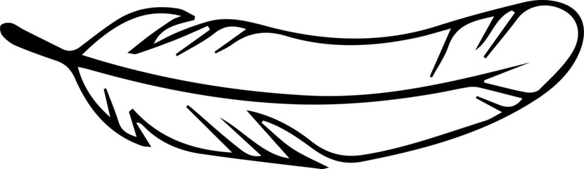 Stylized Hand Drawn Feather Vector Element 