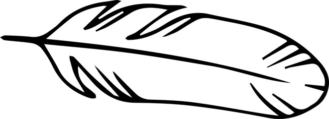 Stylized Hand Drawn Feather Vector Element 