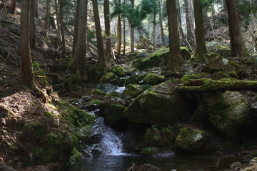 Obraz premium 兵庫県・朝来市糸井川林道床尾線界隈