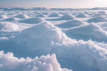 Snowy White Fluffy Texture in a Beautiful Winter Landscape