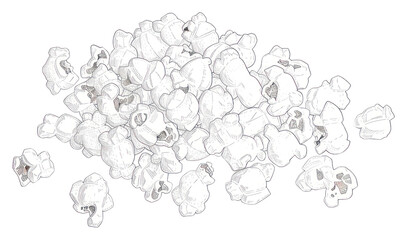 Fototapeta premium PNG Drawing sketch illustrated cartoon.
