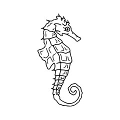 Fototapeta premium outline drawing of a seahorse