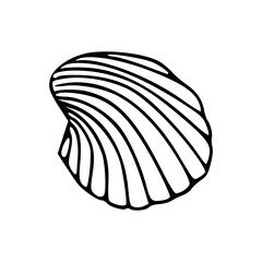 clam shell vector design