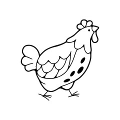hen outline vector drawing