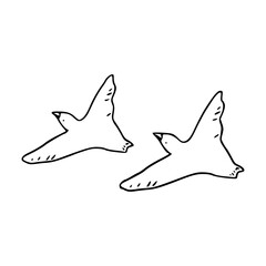 two flying birds vector