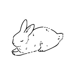 cute rabbit napping vector